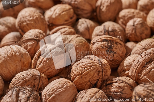 Image of Walnuts in a pile