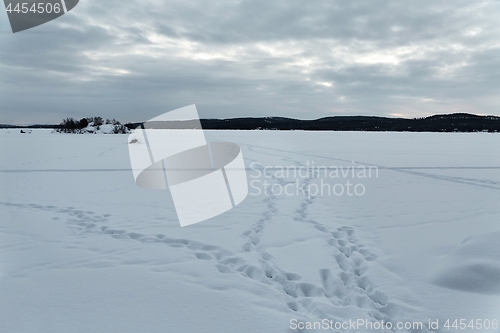 Image of Frozen lake landscape