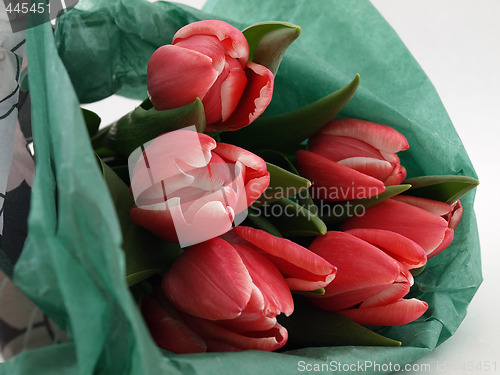 Image of Wrapped Pink Tulips