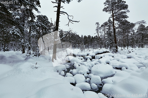 Image of Winter Snowy Landscape