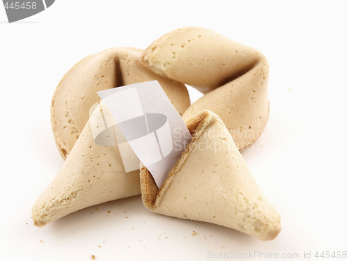 Image of Fortune Cookies Fortune