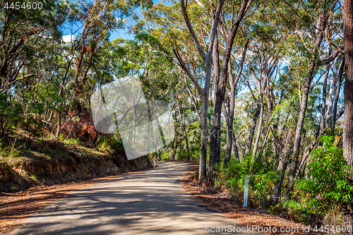 Image of Curving road through Australian bushland