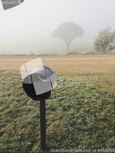 Image of Foggy morning rural Australia
