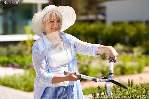 Image of senior gardener with hedge trimmer at garden