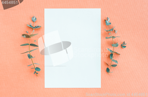 Image of Blank paper and eucalyptus on peach canvas background