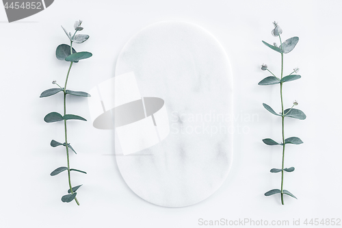 Image of Marble plate framed by eucalyptus branches