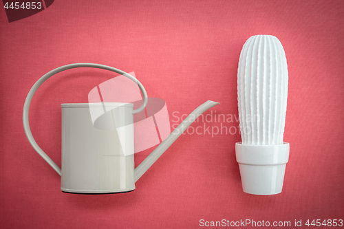 Image of Watering can and white ceramic cactus