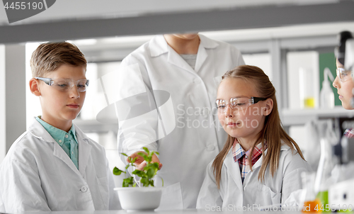Image of students and teacher with plant at biology class