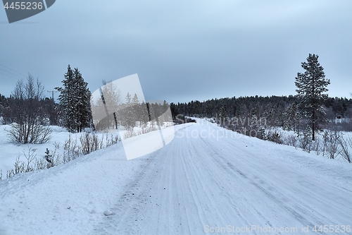 Image of Snowy winter road