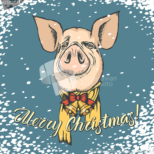 Image of Pig Christmas and New Year vector concept