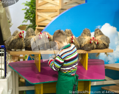 Image of Boy farmer collecting eggs