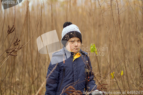 Image of Boy was lost in the forest. Little boy lost his way in the fores