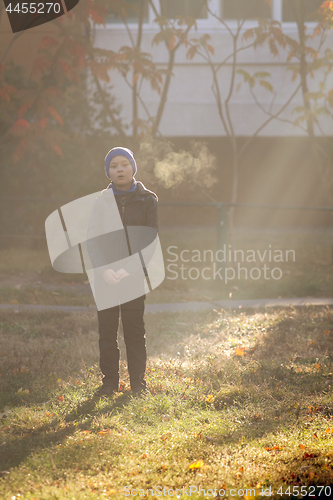 Image of Boy on frosty morning in park