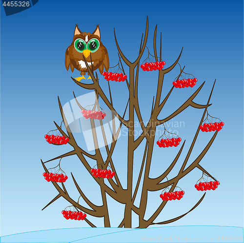 Image of Winter tree with fruit and owl on branch