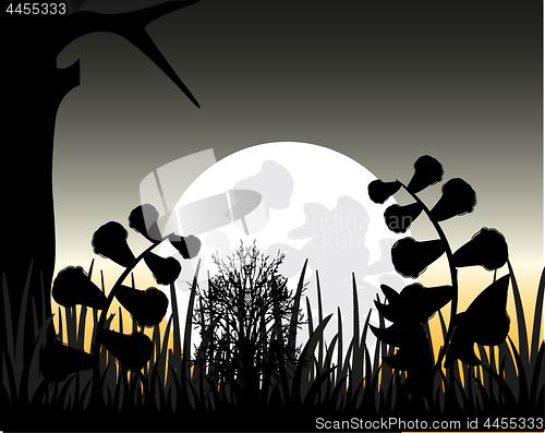 Image of Wild nature and rise of the moon