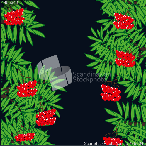 Image of Branches of ripe rowanberry on dark background