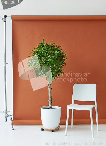 Image of brown paper backdrop