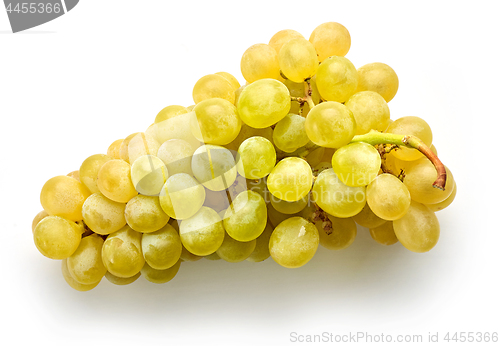 Image of ripe green grape