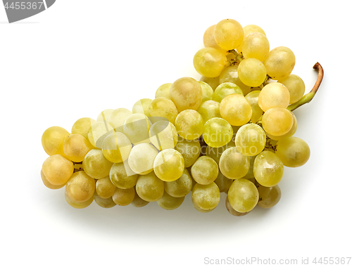 Image of ripe green grape