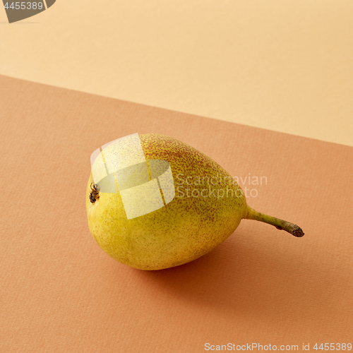 Image of fresh pear on colored paper background
