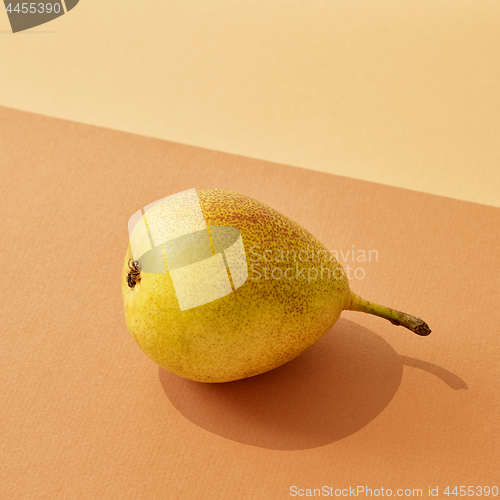 Image of pear with long shadow