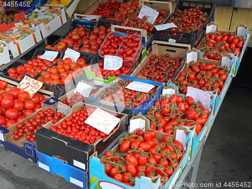 Image of Italian Tomato