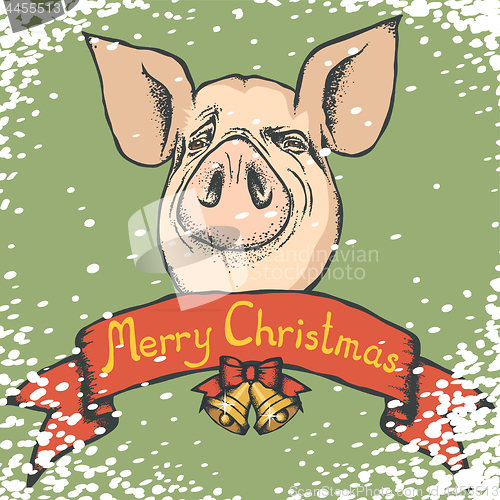 Image of Pig Christmas and New Year vector concept