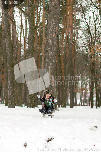 Image of Boy with His Sled sleigh