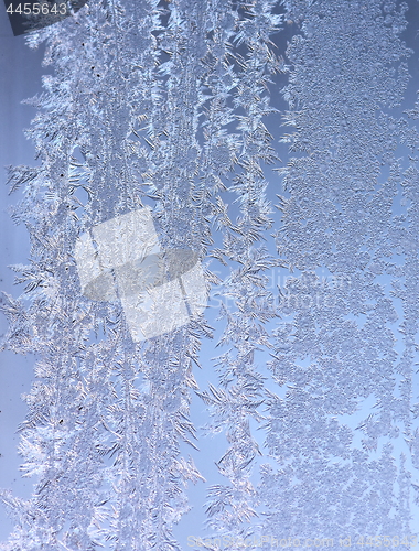 Image of Hoarfrost