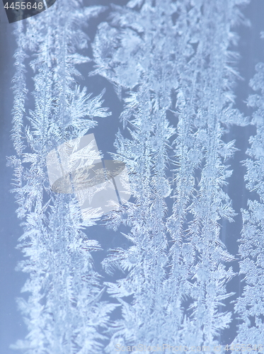 Image of Hoarfrost