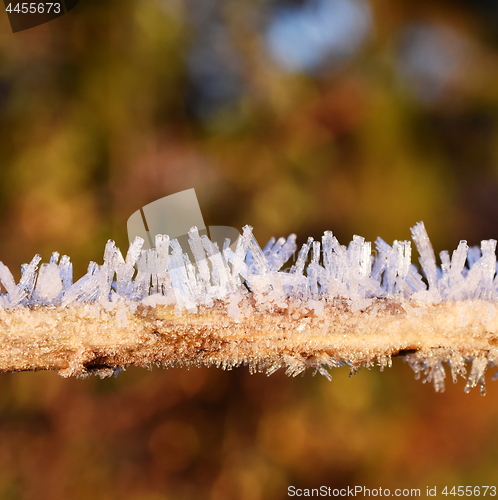 Image of Rime