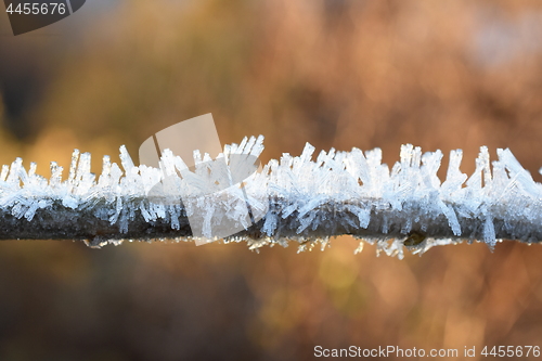 Image of Rime