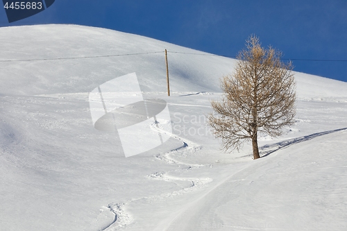 Image of Ski Slope with Fresh Curves