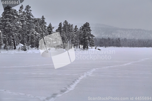 Image of Winter Snowy Landscape