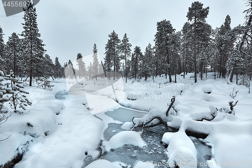 Image of Winter Snowy Landscape