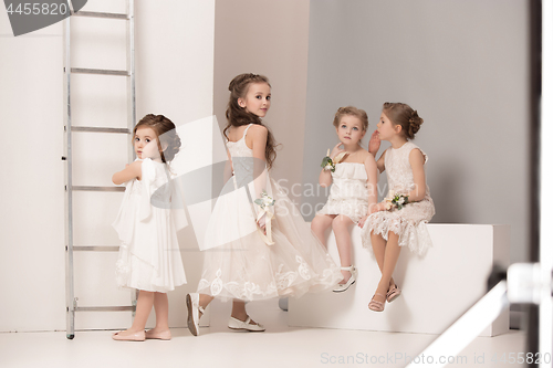 Image of Little pretty girls with flowers dressed in wedding dresses