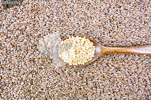 Image of Linen seeds white in spoon