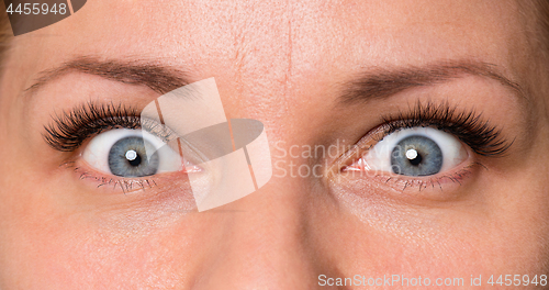 Image of Face woman with eyes and eyelashes