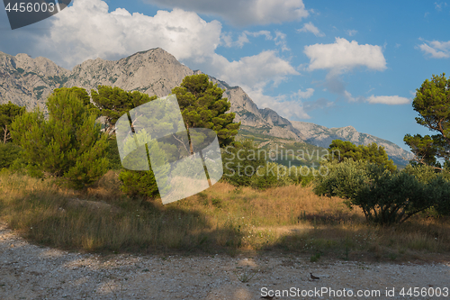 Image of Biokovo mountain nature park and trees from Makarska Riviera, Dalmatia