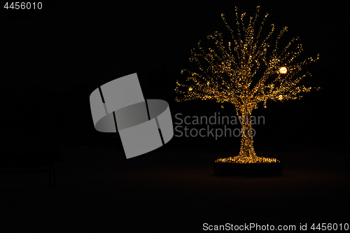 Image of Gold lights Christmas Tree