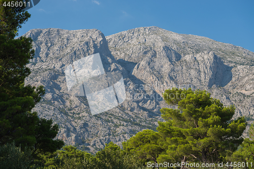 Image of Biokovo mountain nature park and trees from Makarska Riviera, Dalmatia