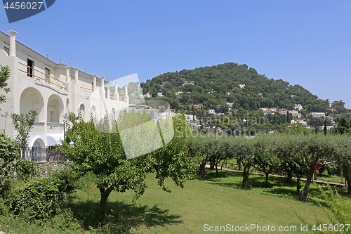 Image of Garden in Capri