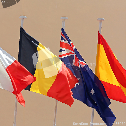 Image of Flags