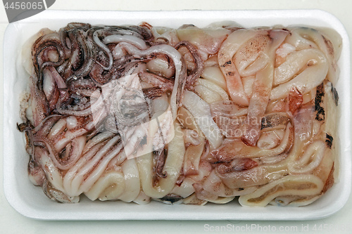 Image of Frozen Squid