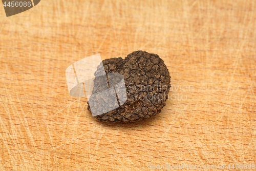 Image of Truffle Mushroom