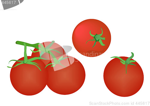 Image of Tomatoes on White