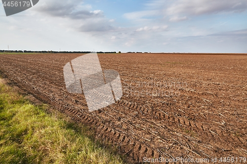 Image of Agircutural field in late sunlight