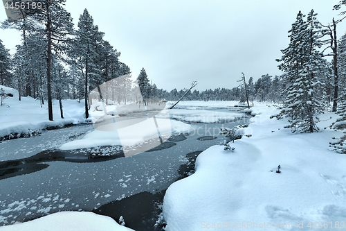 Image of Winter Snowy Landscape