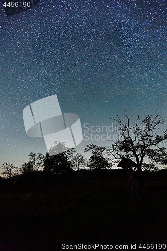 Image of Starry sky landscape