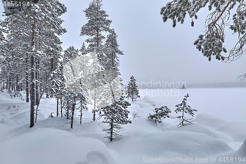 Image of Winter Snowy Landscape